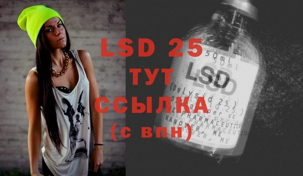индика Инсар