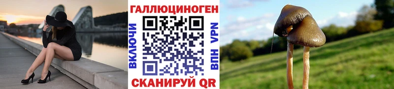 купить   мориарти Telegram  Псилоцибиновые грибы мухоморы  Артёмовский 